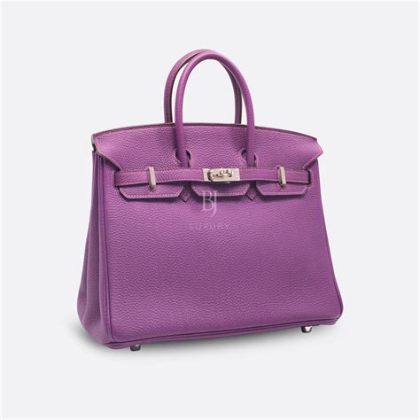 hermes birkin 25 anemone